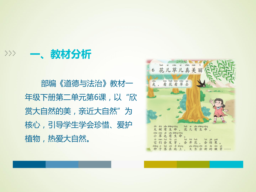 花儿草儿真美丽说课课件 (共17张PPT)