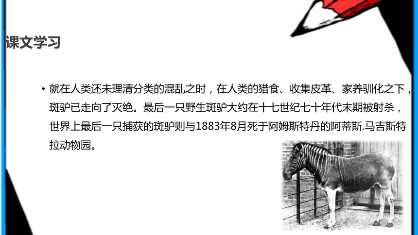 《人类制造物种灭绝危机自读》 课件