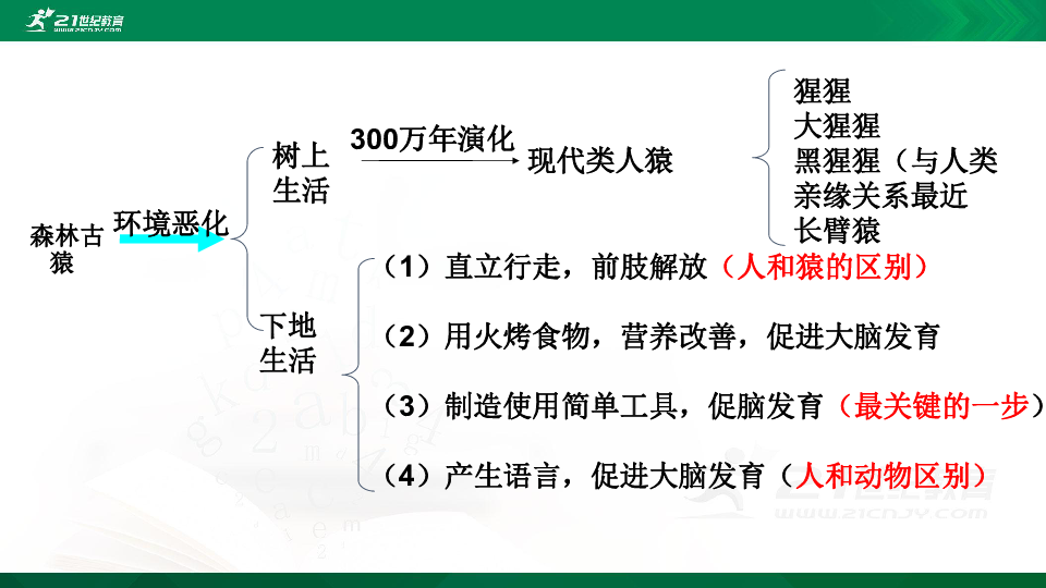 人教版七年级下册中考生物知识点归纳(31张PPT)