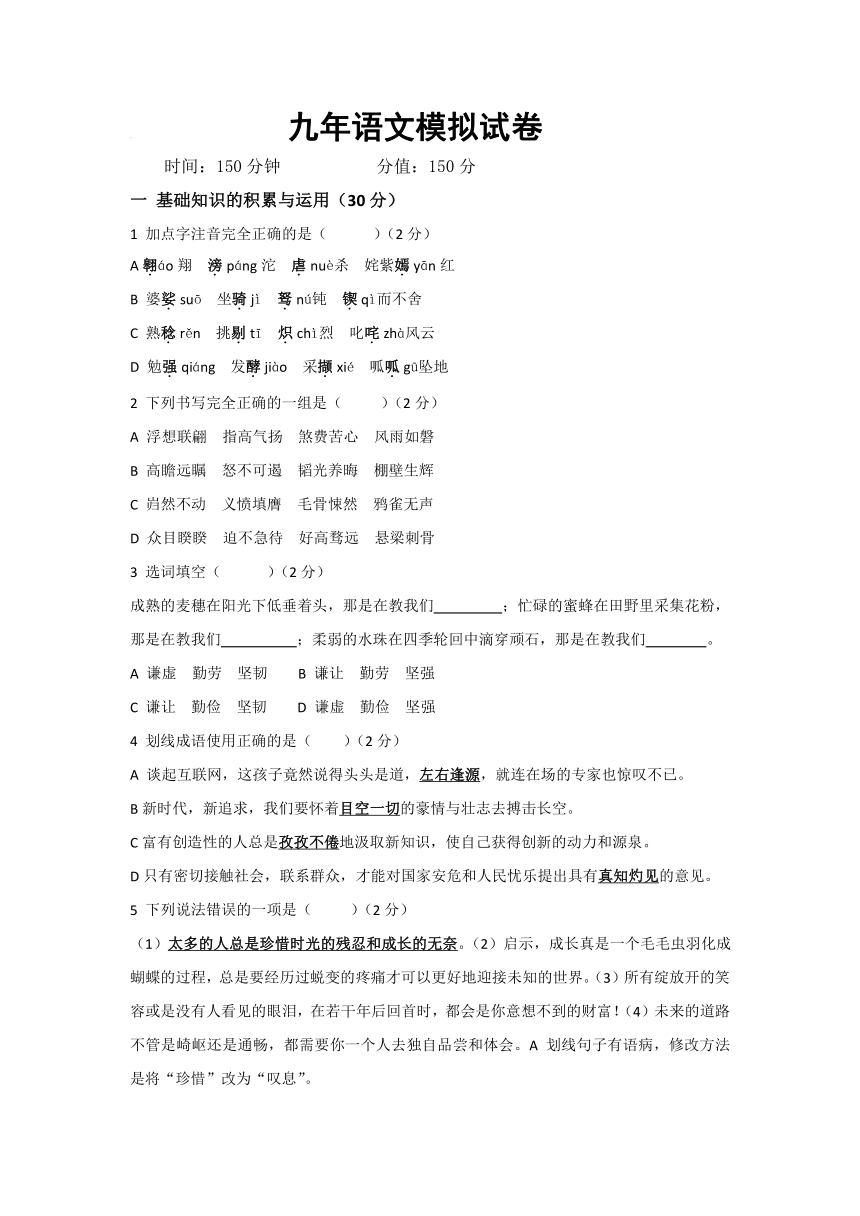 辽宁省大石桥市实验中学2017届九年级中考模拟语文试卷