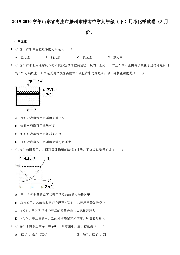 2019-2020学年山东省枣庄市滕州市滕南中学九年级（下）月考化学试卷（3月份）（解析版）