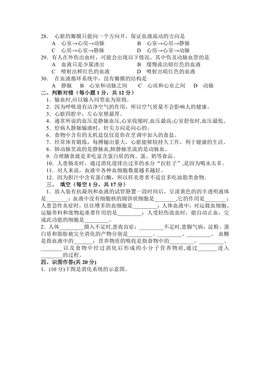 2012——2013学年下学期期中考试七年级生物试卷（无答案）