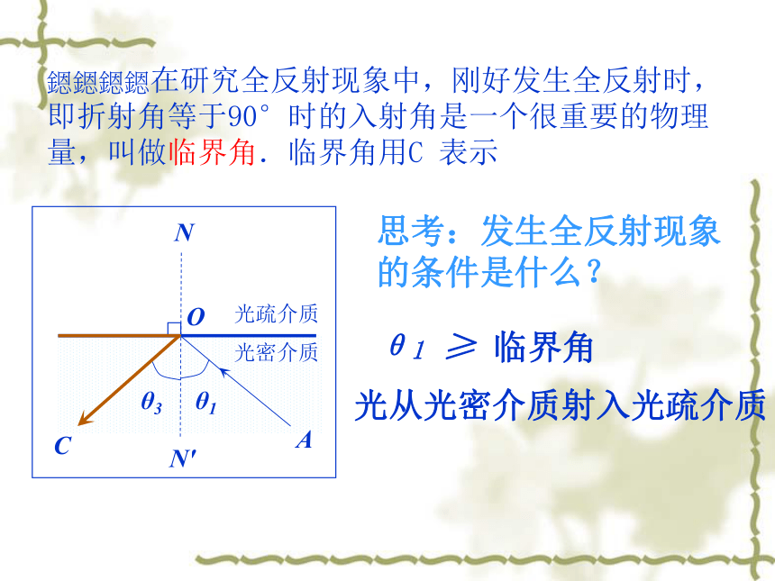 浙江 全反射[上学期]