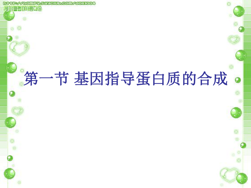 人教版高中生物必修二第四章第一节基因指导蛋白质的合成（49张ppt）