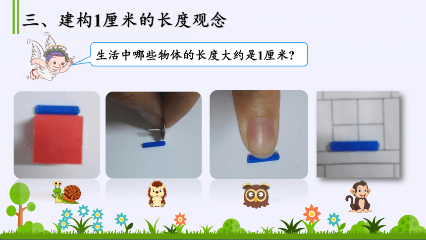 二年级上册数学课件一认识厘米和米课件北京版共19张ppt