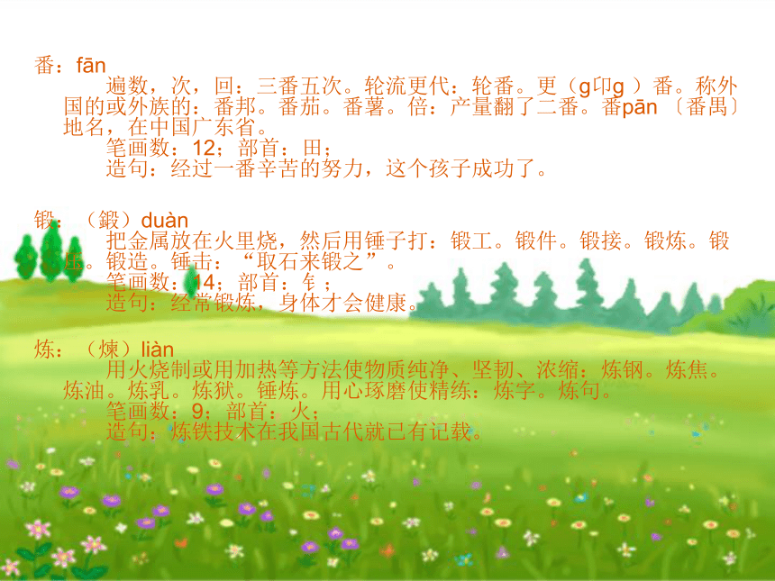 《桃花心木》课件