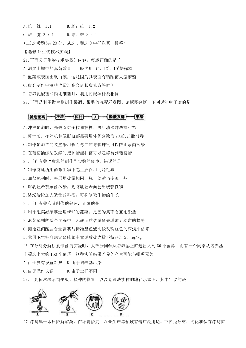 河南省洛阳市2016-2017学年高二下学期期末质量检测（6月） 生物