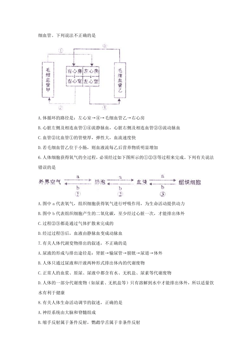 2018年四川省遂宁市中考生物试题（word版 无答案）