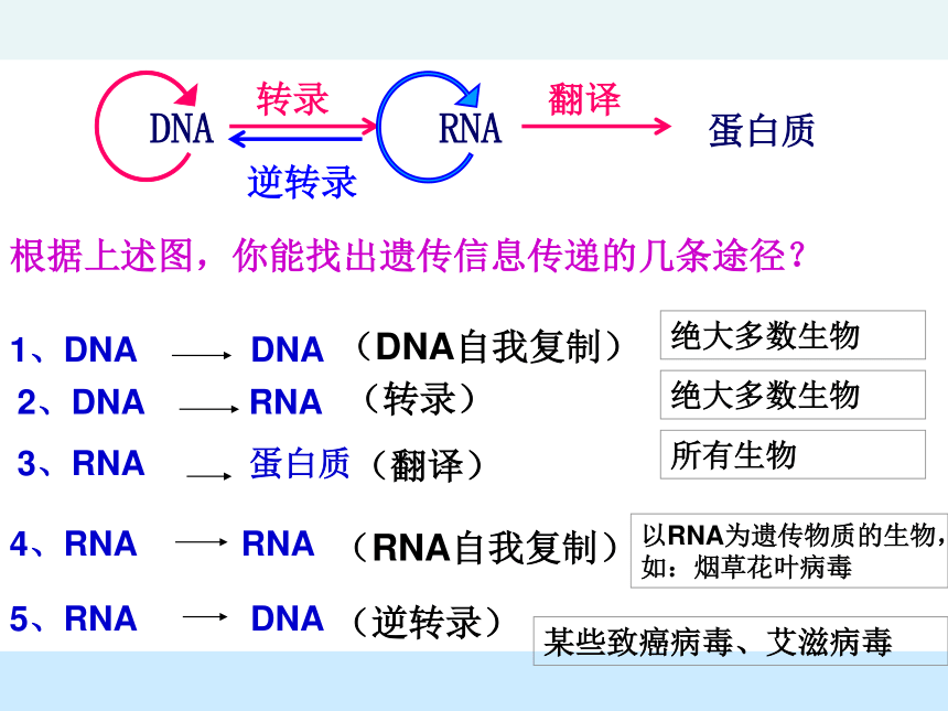 高中生物人教版必修二第四章第2节 基因对性状的控制  课件（23张PPT）