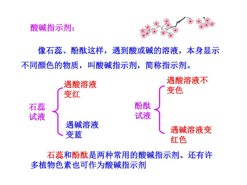 鲁教版九年级下册化学7.3 溶液的酸碱性课件（31张ppt）