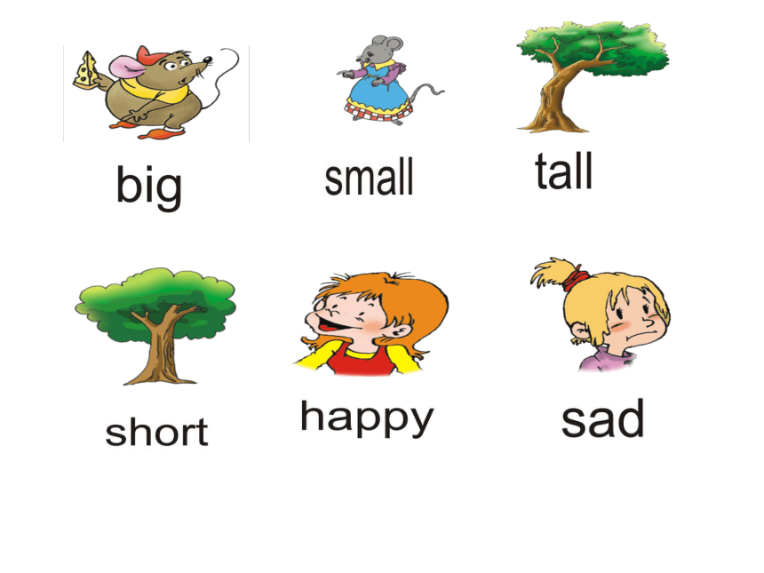 lesson q big or small课件(13张)