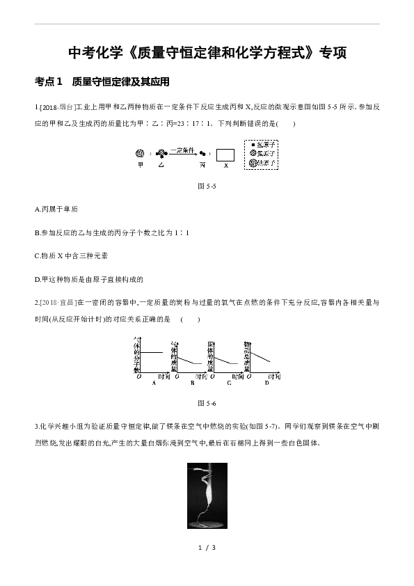 中考化学《质量守恒定律和化学方程式》专项训练(含解析)