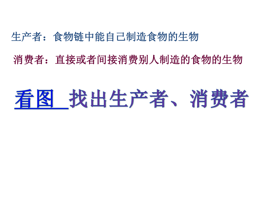 教科版五年级上册科学  1.5食物链和食物网    课件（17ppt）