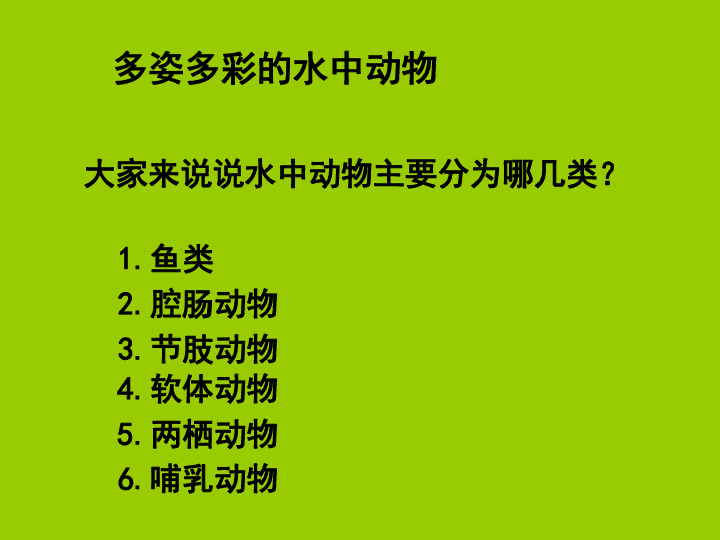 水中的动物ppt图片