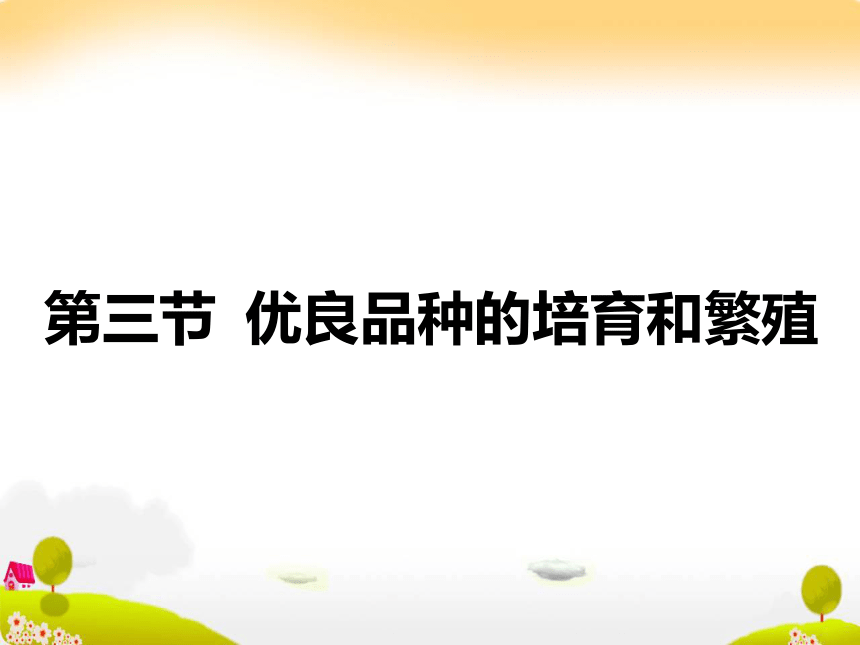 生物：13 优良品种的培育和繁殖 课件（浙科版选修二）