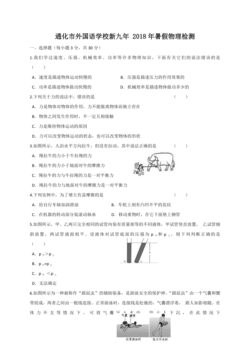 吉林省通化市外国语学校2019届九年级上学期入学考试物理试题（无答案）