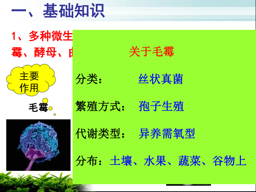 高中生物浙科版选修一第三部分 腐乳的制作课件(22张PPT)