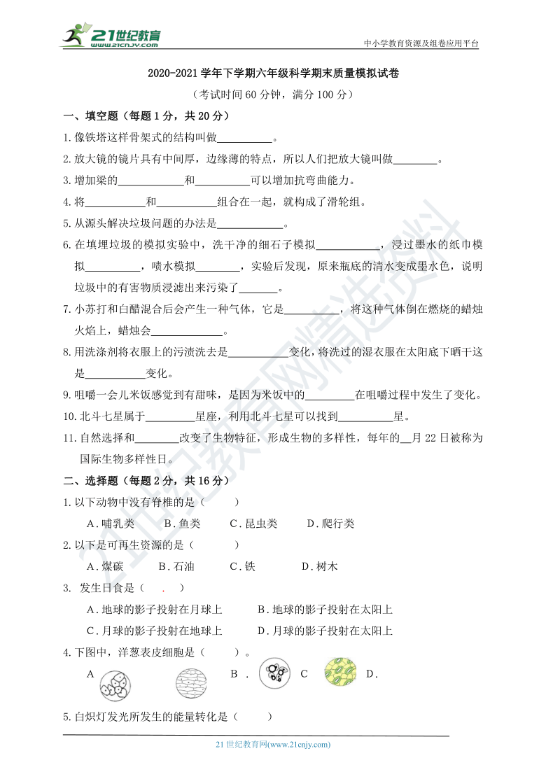 2020-2021学年下学期六年级科学期末质量模拟试卷（含答案）