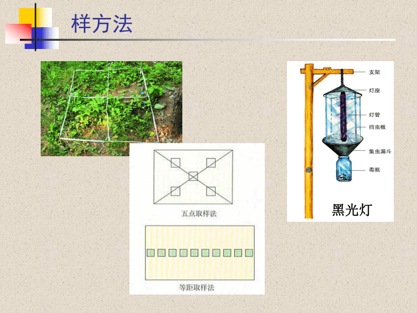 人教版高中生物必修三第4章第1节 种群的特征 （共14张PPT）