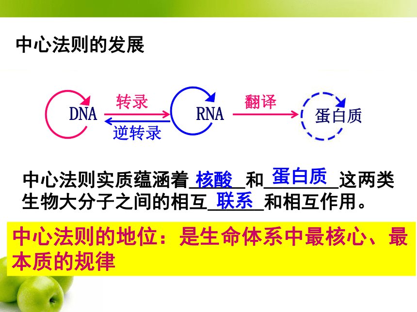 高中生物人教版必修2第四章第2节 基因对性状的控制   课件(33张)