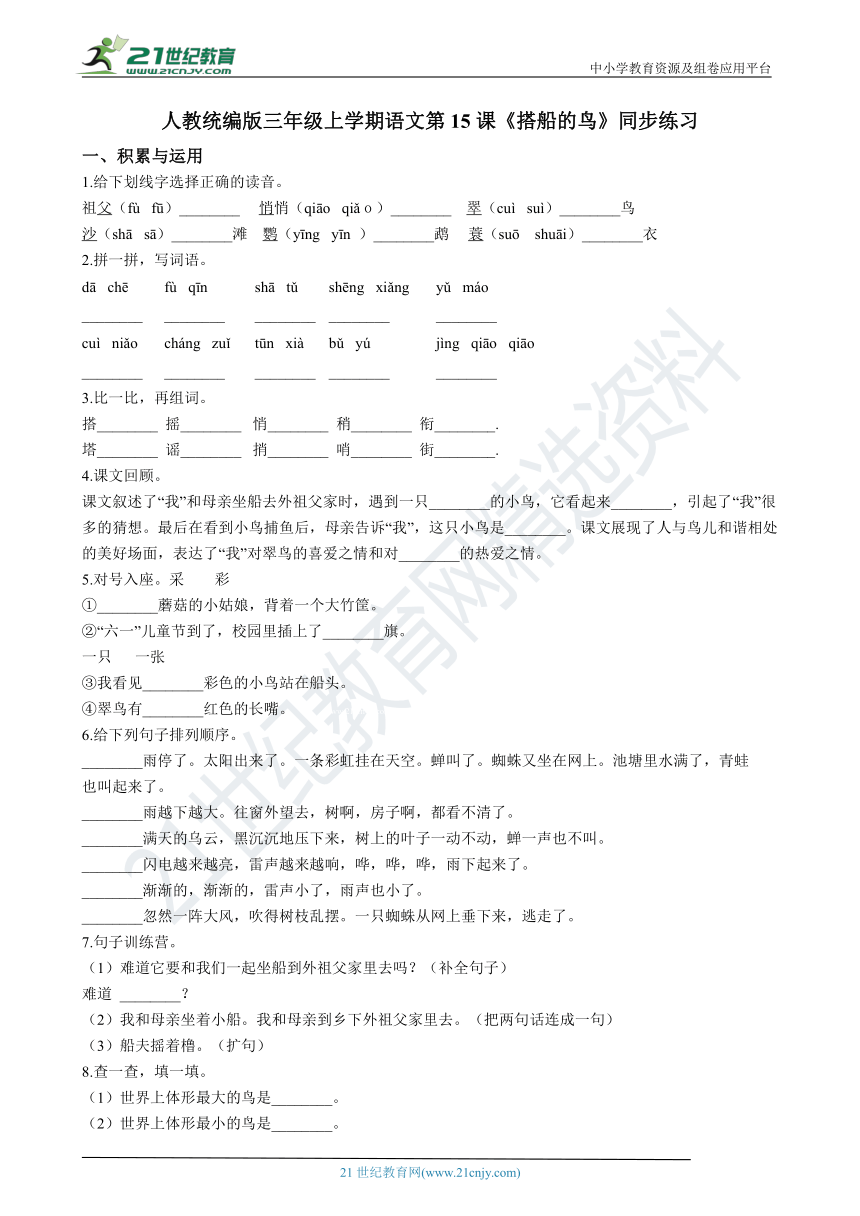 第15课《搭船的鸟》同步练习