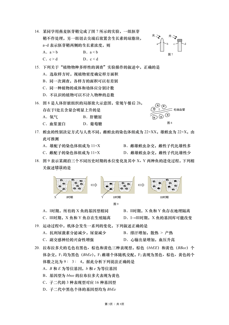 上海市静安区2020-2021学年高一上学期期末考试生物试题 PDF版含答案