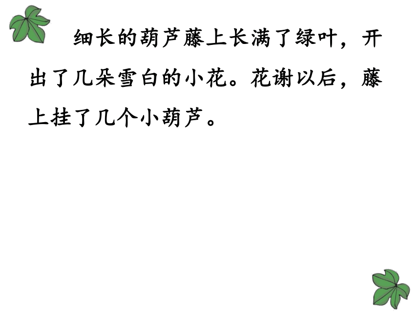 14.我要的是葫芦   课件(共39张PPT)