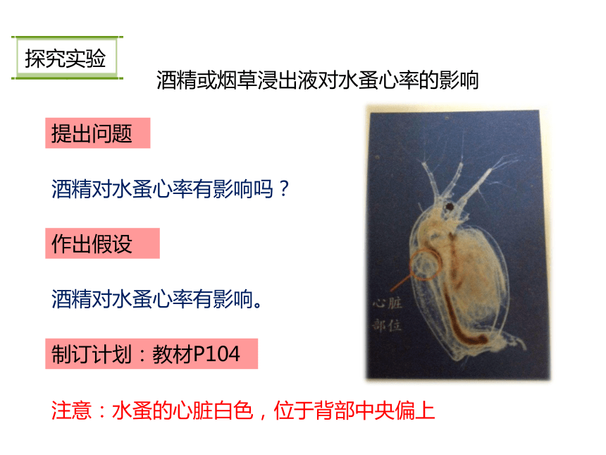 人教版生物八下8.3,2 选择健康的生活方式 课件（23张ppt）