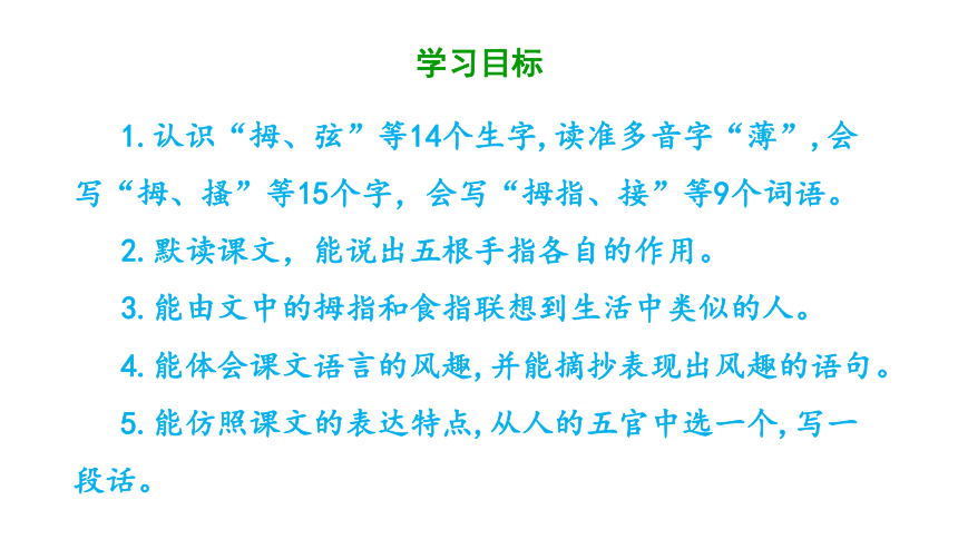 22.《 手指》课件  (共59张 )