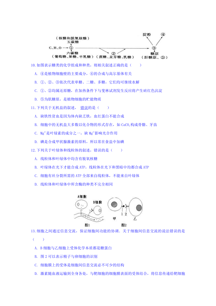 湖北省襄阳市东风中学2017-2018学年高一下学期期中考试生物试卷