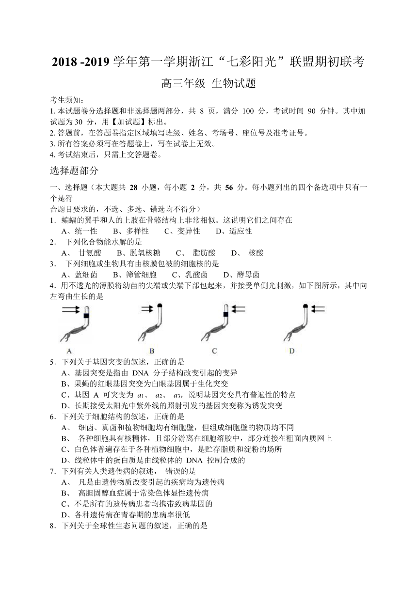 浙江省“七彩阳光”联盟2019届高三上学期期初联考生物试题（WORD版）