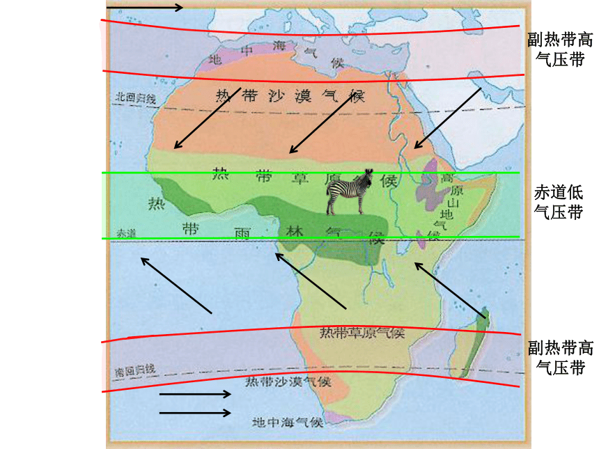 非洲自然带分布成因图片