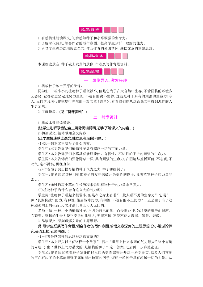 4.1  野草教案