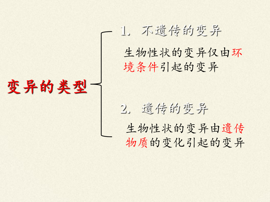 蘇教版生物八年級下冊第22章第五節生物的變異課件共30張ppt