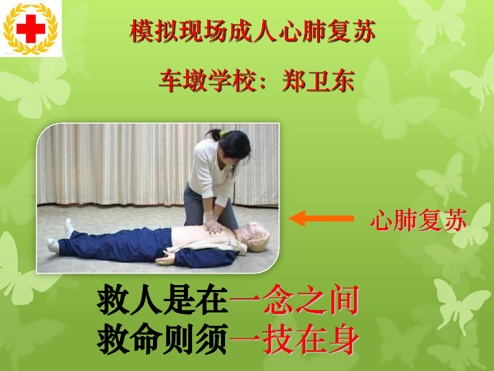 上海版八年级上册生物  3.3.5 模拟心肺复苏 课件(24张PPT)