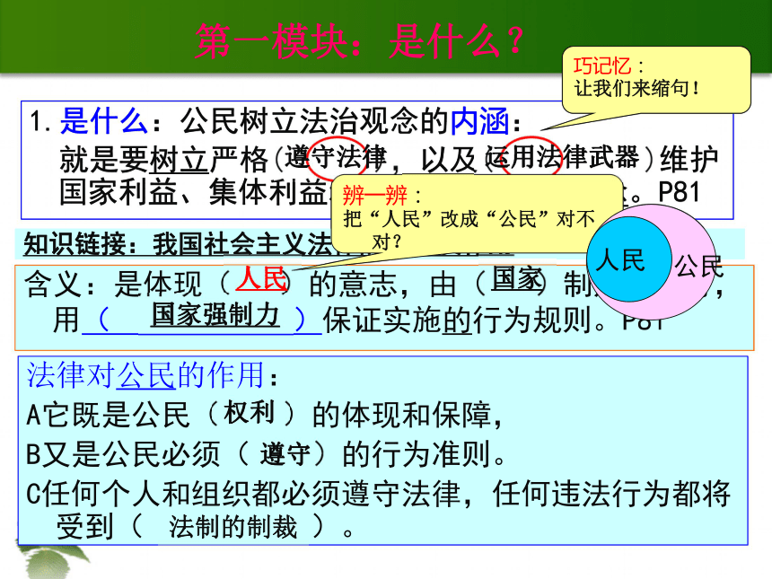 第六课第2课时  树立法治观念  课件（21张PPT）