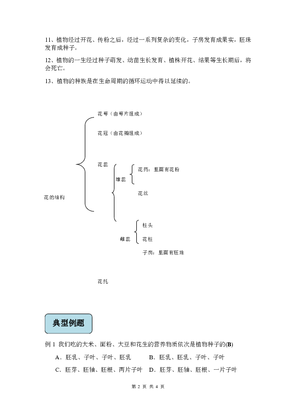 第4节 植物的一生（知识讲解+答案版试题）