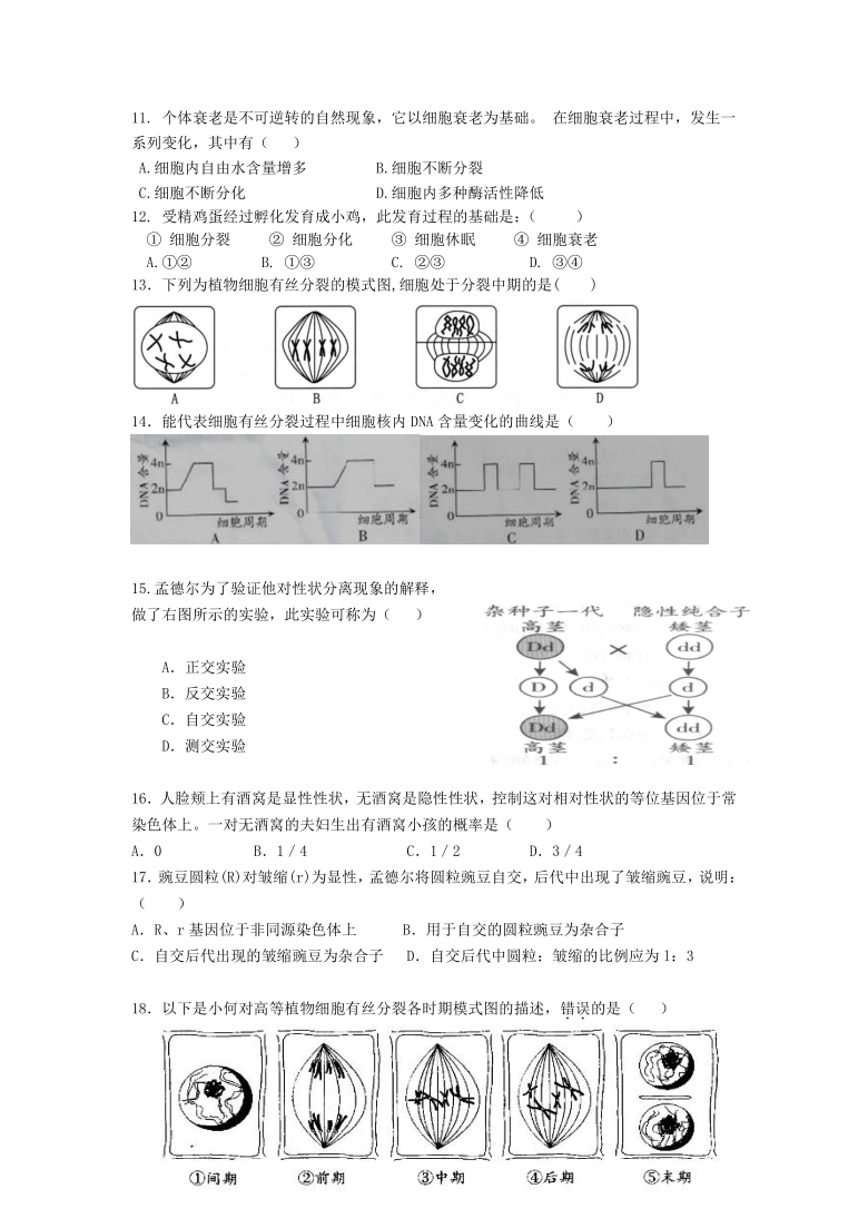 广东省北京师范大学珠海分校附属外国语学校2020-2021学年高一3月月考生物试题 Word版含答案