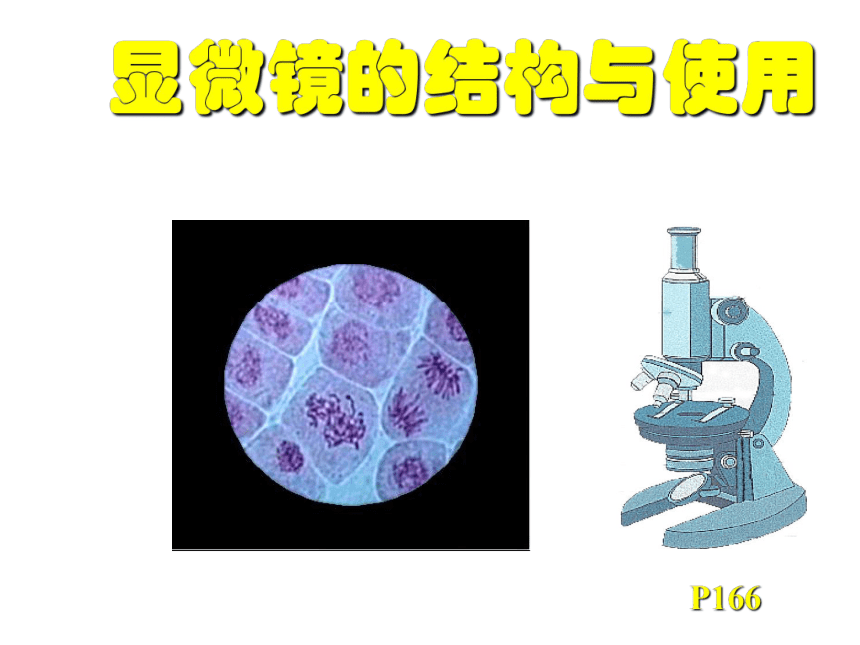 人教版高一生物必修1课件：第一章 显微镜的使用与结构课件（共39 张PPT）