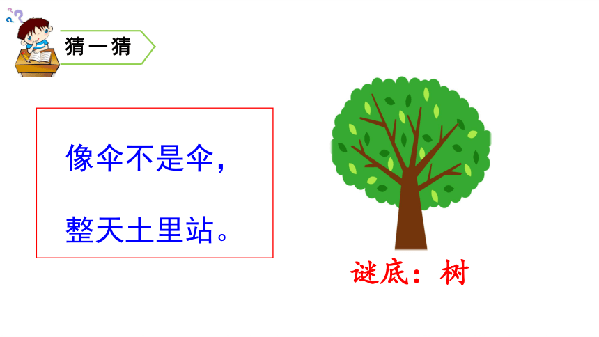 识字2 树之歌  课件（31张PPT）