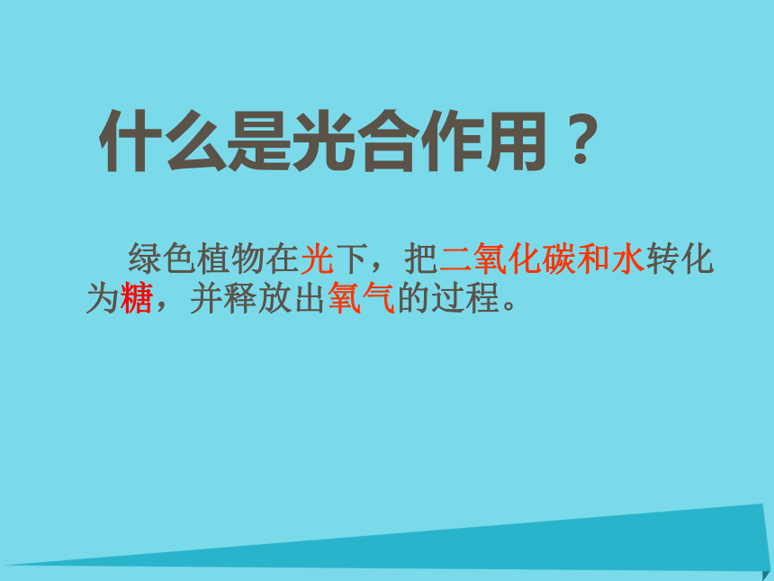 2017六年级科学上册第一章第3课植物的光合作用课件新人教版