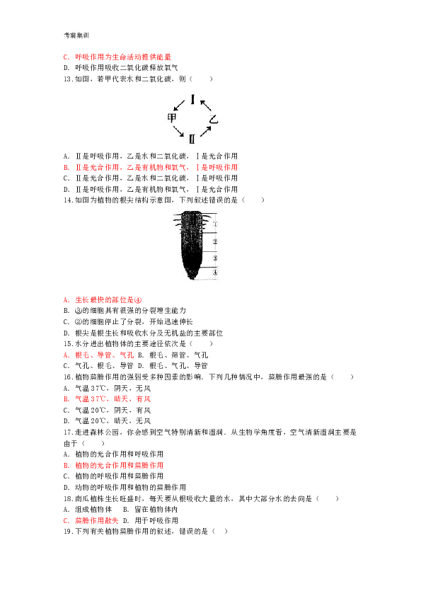 考前集训第三单元生物圈中的绿色植物第五章绿色植物的生活方式试卷