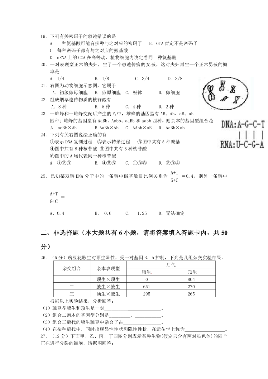 江西省井冈山中学2012-2013学年高二第二次月考生物试题