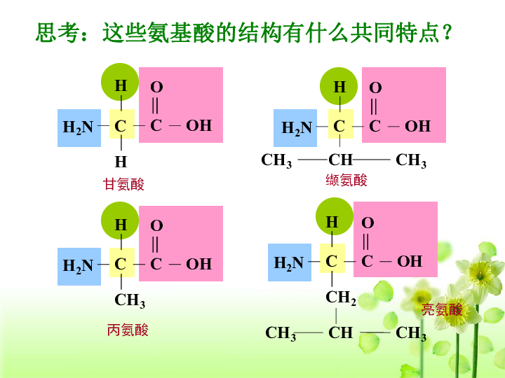 高中生物人教版必修一第二章第2节 生命活动的主要承担者-蛋白质 课件(共25张PPT)