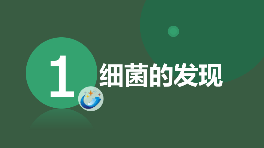 2 細菌 課件(共17張ppt)_21世紀教育網,21教育