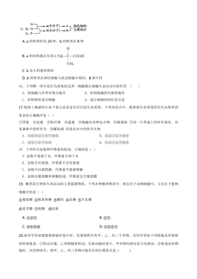 四川省苍溪实验中学校2020-2021学年高一上学期期中质量检测生物试卷   含答案