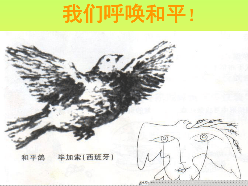 湘教版七年级上册美术第6课和平鸽（共21张PPT）