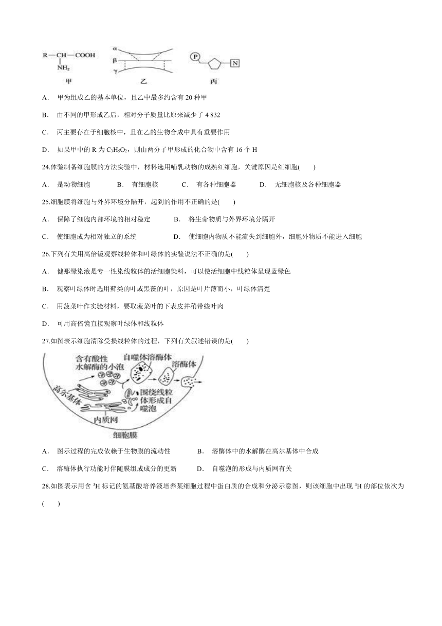 山东省滨州市邹平双语学校一二区2016-2017学年高二下学期期中考试生物试题