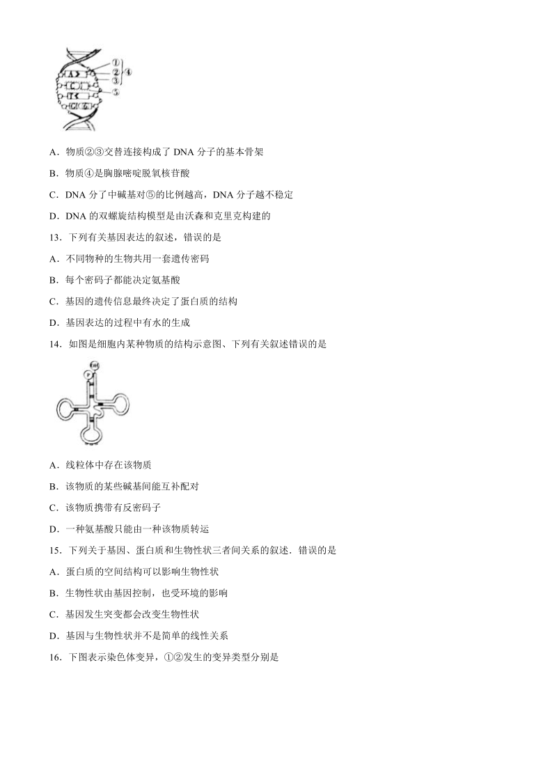 甘肃省白银市靖远县2020-2021学年高二上学期期末考试生物试题  含答案