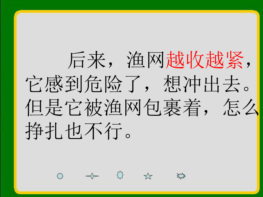 幸运的小海豹   课件